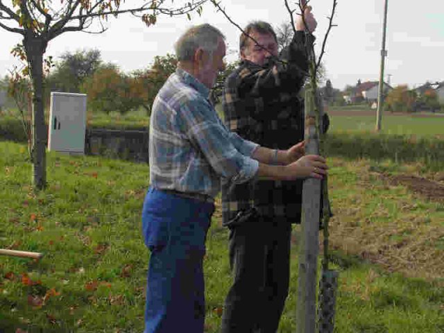 2009_-_baumpflanzaktion_7_20180127_1597751872