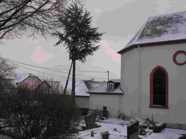 2010_-_baumfaellaktion_kirche_8_20180127_1356172657