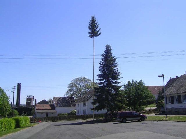 2007_-_maifeier_5_20180127_1179665521