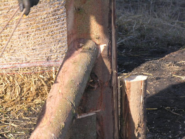 2008_-_hoettenbrennen_30_20180127_1314206527