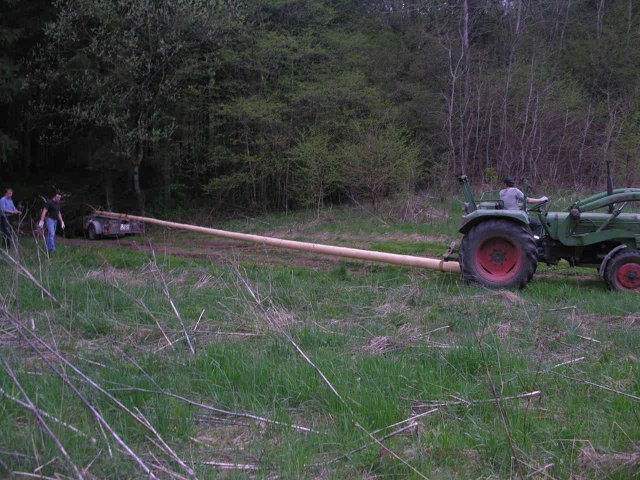 2010_-_maibaumschlagen_10_20180127_1583492564