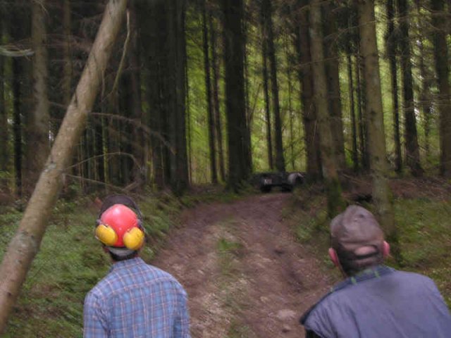 2010_-_maibaumschlagen_4_20180127_1134467076