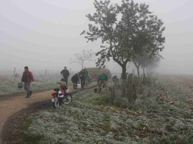 2010_-_obstraffen_feuerwehr_2_20180127_1630079103