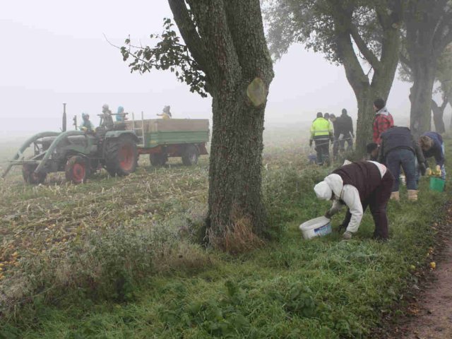2010_-_obstraffen_feuerwehr_4_20180127_1614615603