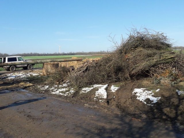 2018_-_hoettenbrennen_5_20180218_1156862677