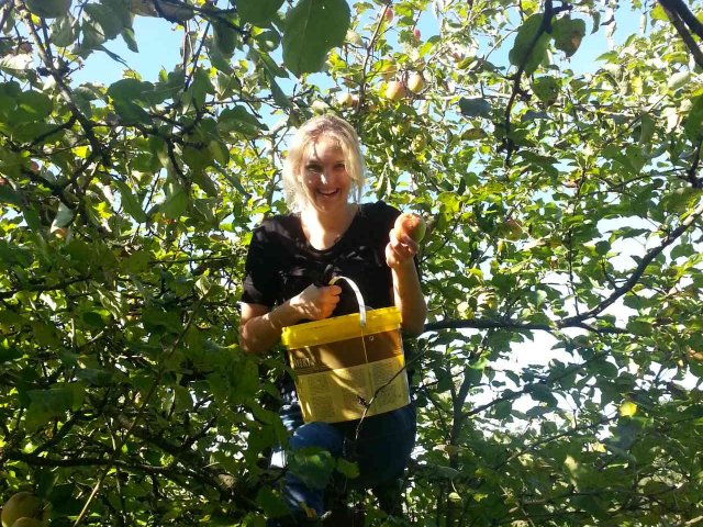 2014_obstraffen_karnevalsverein_3_20180127_1475177257