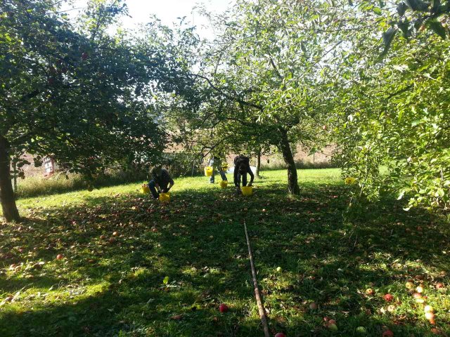 2014_obstraffen_karnevalsverein_4_20180127_1085479347