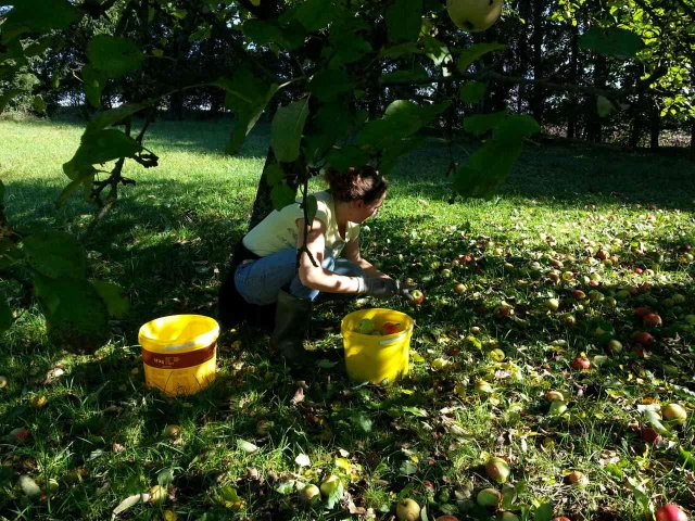 2014_obstraffen_karnevalsverein_5_20180127_1139378034