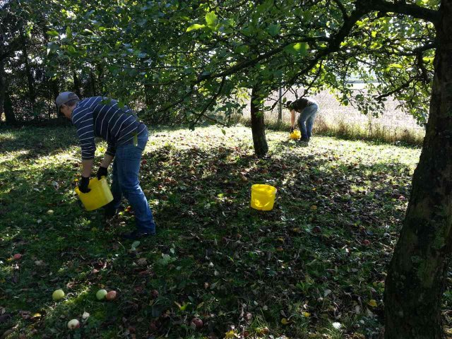 2014_obstraffen_karnevalsverein_6_20180127_1841426692